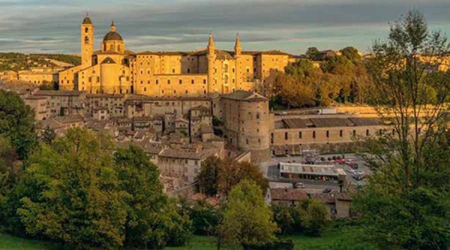 Urbino